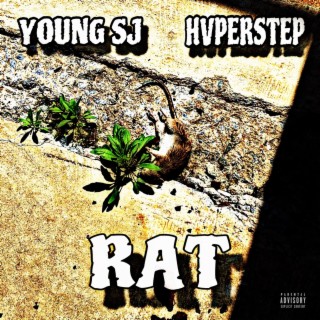 Rat ft. HVPERSTEP lyrics | Boomplay Music