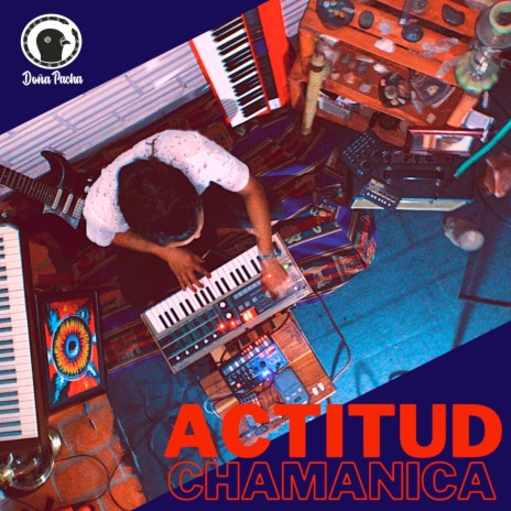 Actitud Chamanica | Boomplay Music