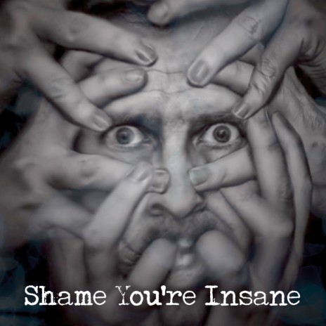Shame You're Insane | Boomplay Music