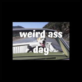 Weird ass day