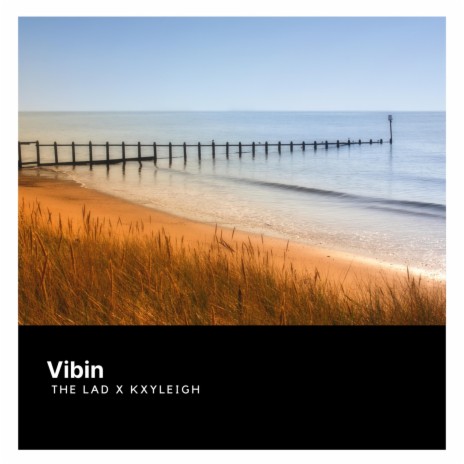 Vibin ft. kxyleigh | Boomplay Music
