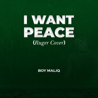 I Want Peace cover lyrics | Boomplay Music