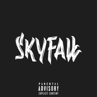 Skyfall lyrics | Boomplay Music