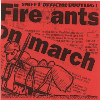 Fire Ants