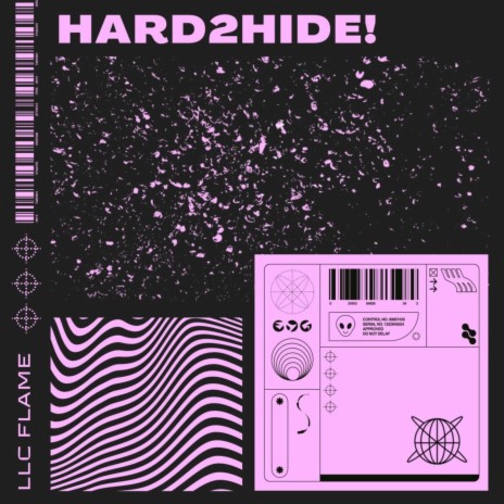 hard2hide! | Boomplay Music