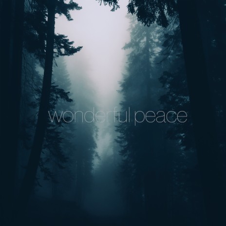 Wonderful Peace | Boomplay Music