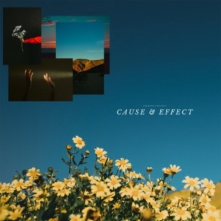 Cause & Effect