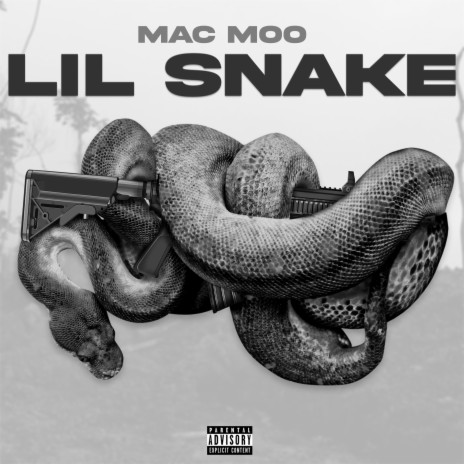 LIL SNAKE | Boomplay Music