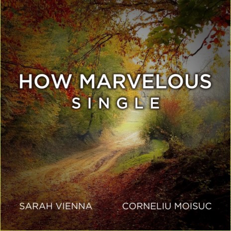 How Marvelous (I Stand Amazed) ft. Corneliu Moisuc