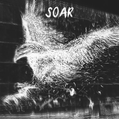 Soar | Boomplay Music
