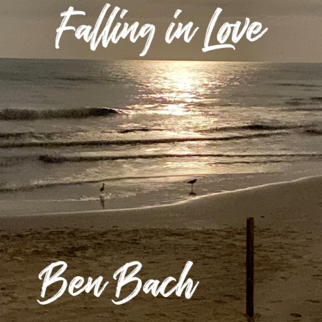 Falling in Love | Boomplay Music