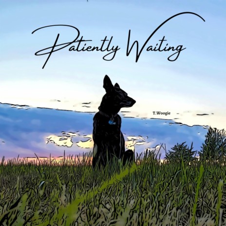 Patiently Waiting | Boomplay Music