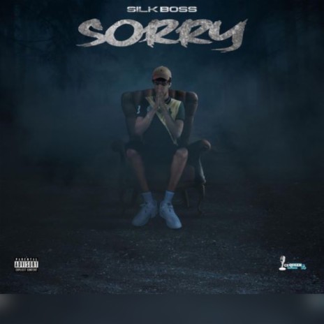 Sorry (Radio Edit) | Boomplay Music