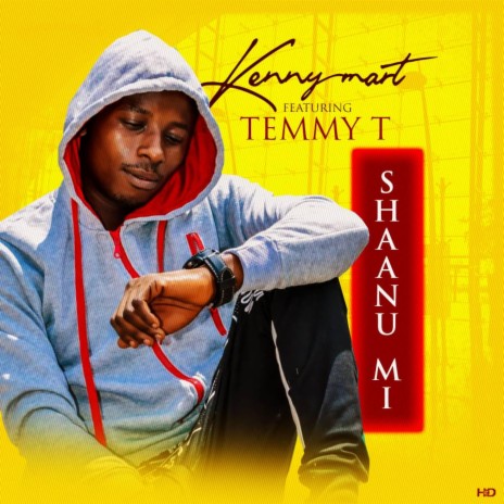 Shaanu mi ft. Temmy T | Boomplay Music