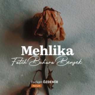 Fatih Buhara Benzek (Mehlika)