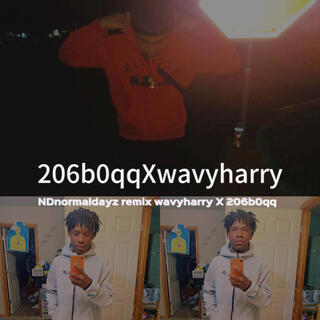 NDnormaldayz remix wavyharry X 206b0qq