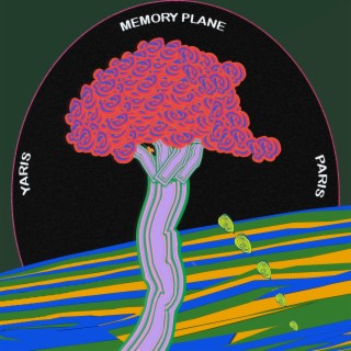 Memory Plane