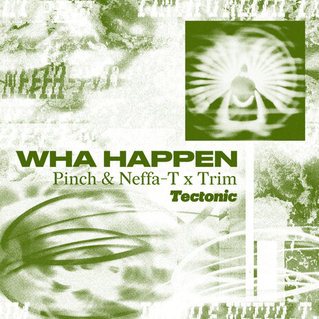 Wha Happen ft. Neffa-T & Trim | Boomplay Music