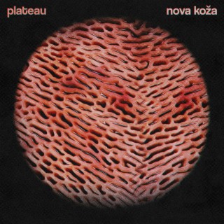 Nova Koža lyrics | Boomplay Music