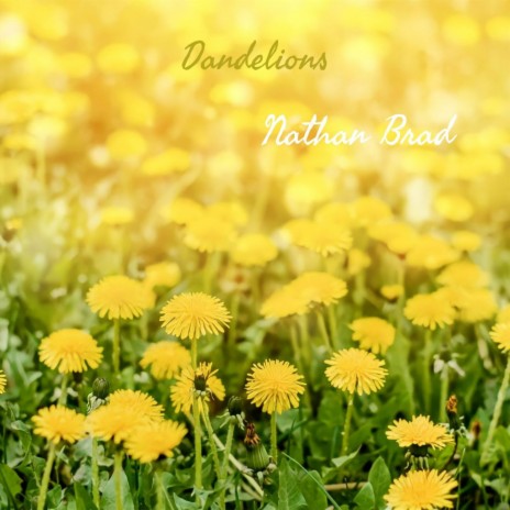 Dandelions (Cover)