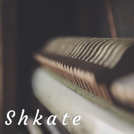 Shkate (Instrumental) | Boomplay Music