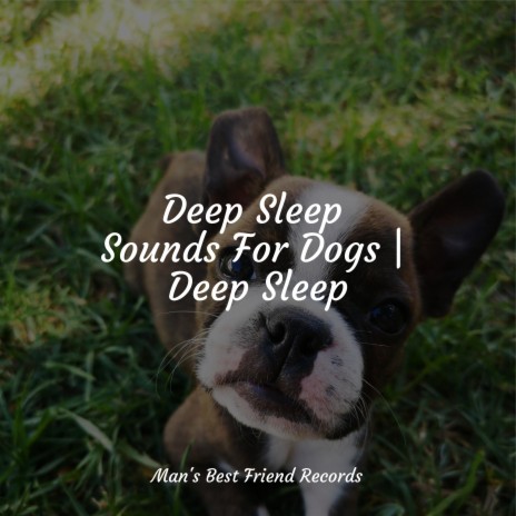 Deep sleep music for sales dogs
