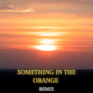 Something In The Orange (Remix)