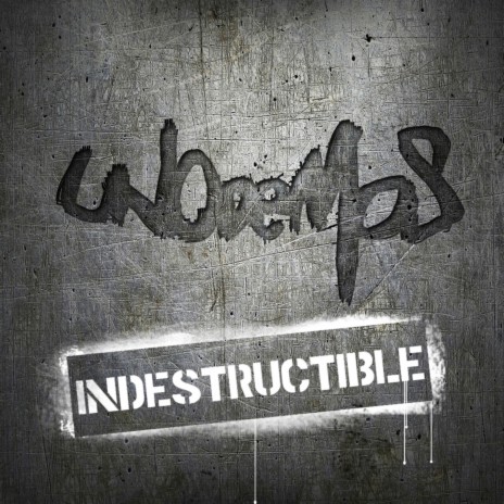 Indestructible (Y Te Dejaste Caer)