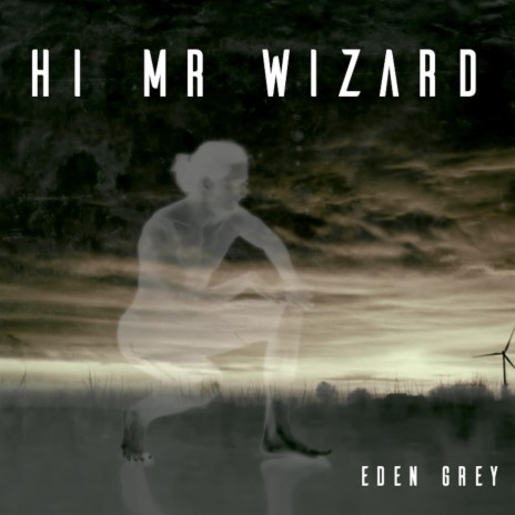 Hi Mr Wizard | Boomplay Music