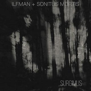 SURGIMUS