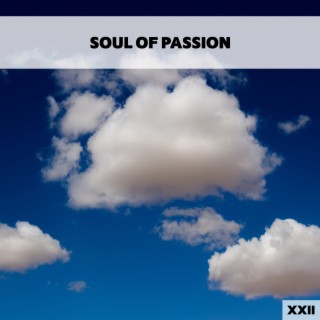 Soul Of Passion XXII