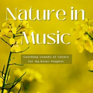 Nature in Music: Soothing Sounds of Nature for My Relax Playlist
