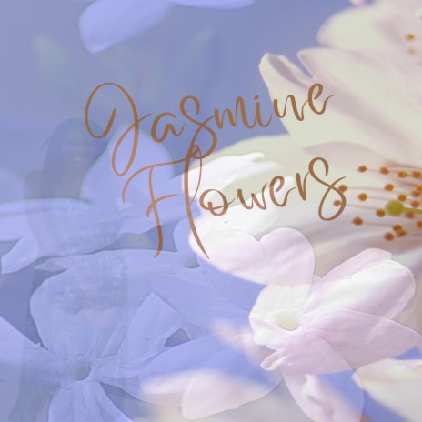 Flowers of Jasmine | Boomplay Music