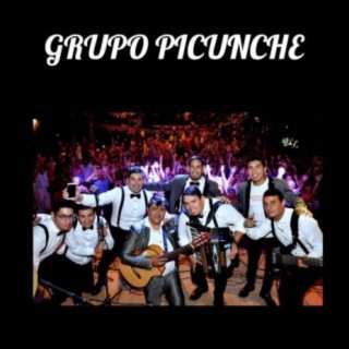 Grupo Picunche