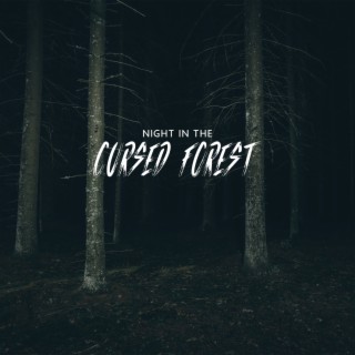 Night in the Cursed Forest: 2022 Halloween Ambient Hits