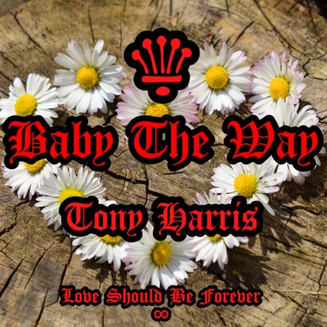 Baby The Way | Boomplay Music
