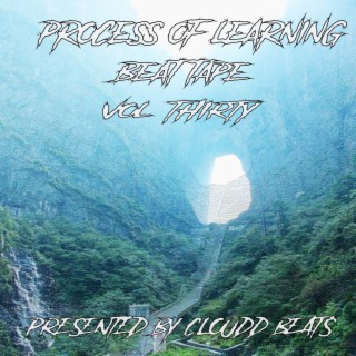 Process Of Learning Beat Tape Vol Thirty