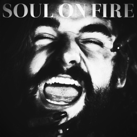 Soul On Fire ft. Van Ludwig & Felix Petermann | Boomplay Music