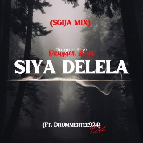 Siya Delela ft. DrummeRTee924 | Boomplay Music