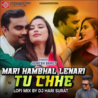 Mari Hambhad Lenari Tuj Chhe (Lofi Mix)
