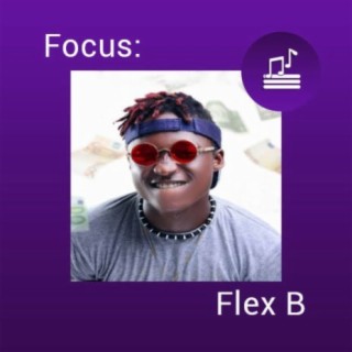Focus: Flex B | Boomplay Music