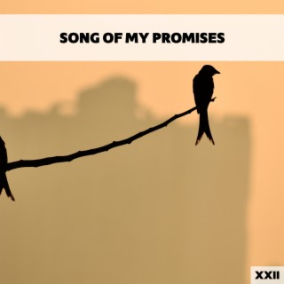 Song Of My Promises XXII
