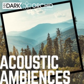 Acoustic Ambiences