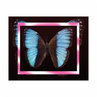 Techno vlinder V1