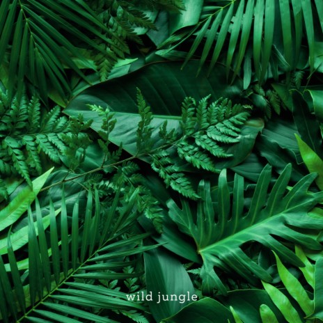 wild jungle (Original Mix)