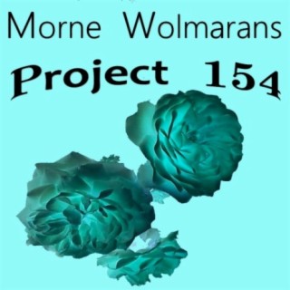 Project 154