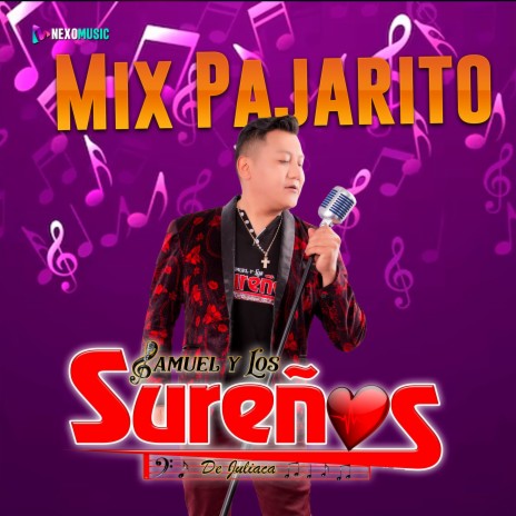 Mix Pajarito (Remix) | Boomplay Music