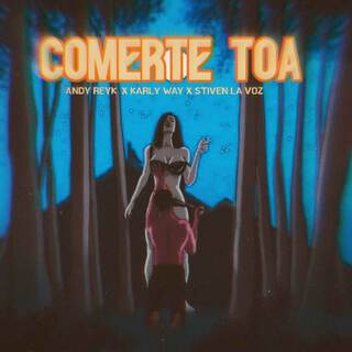 Comerte Toa