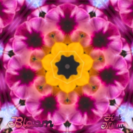 Bloom ft. Hnt & Brookiespears