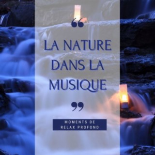 La nature dans la musique: Les bruits de la nature pour les moments de relax profond